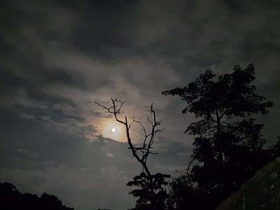 night View from the park gahat resort