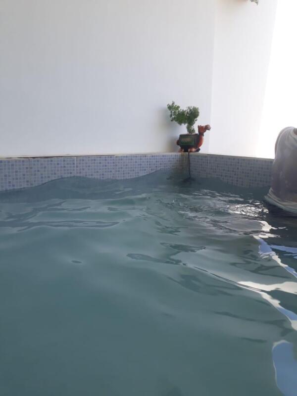 rooms with private pool